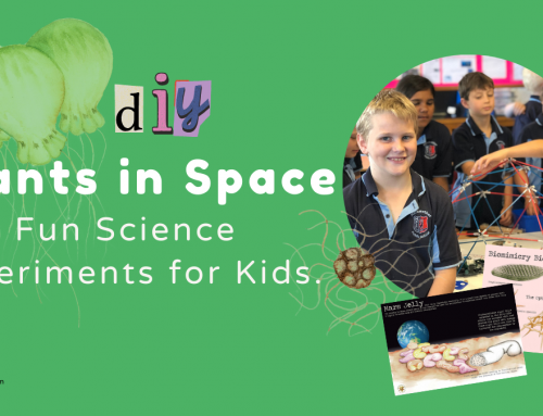 DIY Plants in Space Fun Science Experiments for Kids
